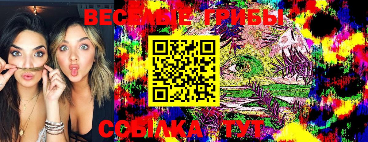 Псилоцибиновые грибы Psilocybine cubensis Омск